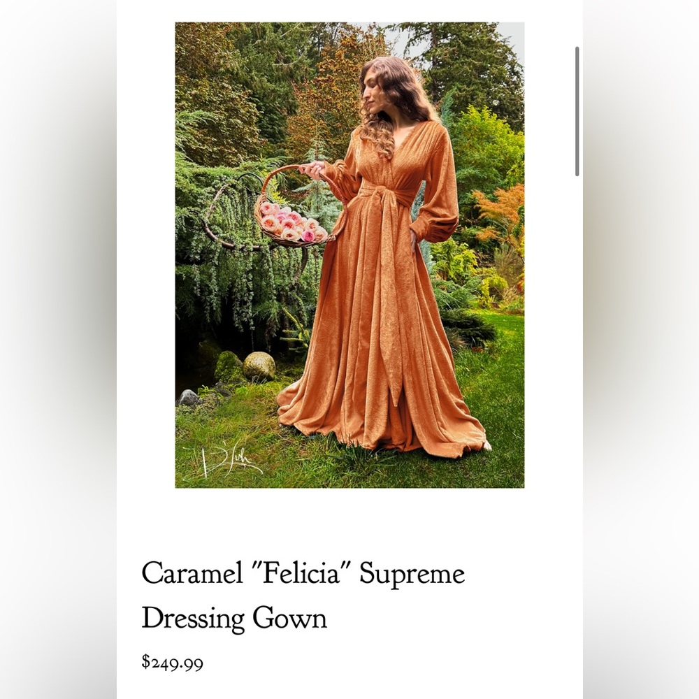 Felicias's Elegant Caramel Maxi Dress